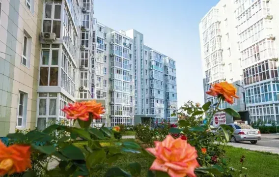 Почему стоит купить квартиру у застройщика «Вектор недвижимости»
